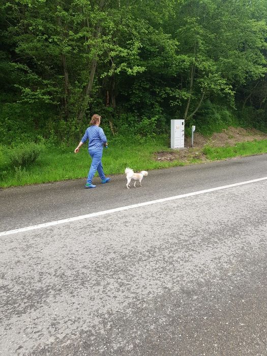 Vând teren intravilan in Plaiul Foii - Zărnești