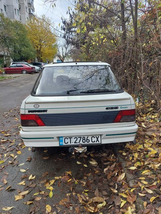 Peugeot 309 GREEN