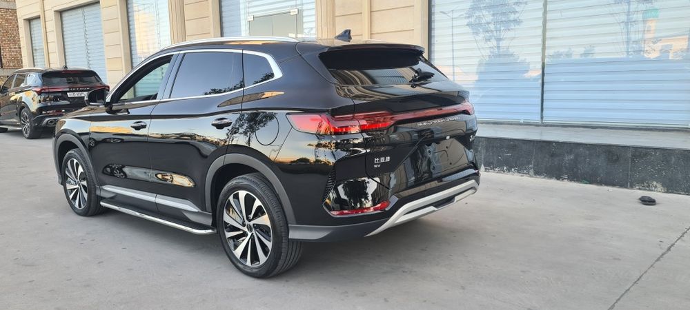 BYD Chempion кора