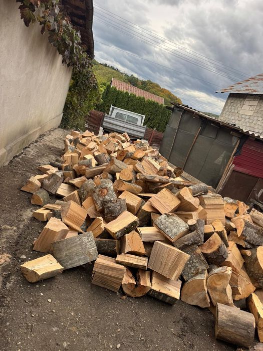 Lemn foc fag, stejar , carpen , salcâm