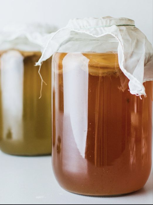 Vand ciuperca Kombucha (SCOBY) + starter + instructuctiunu  complete!