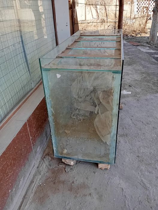 Прадайотса аквариум 1 тона