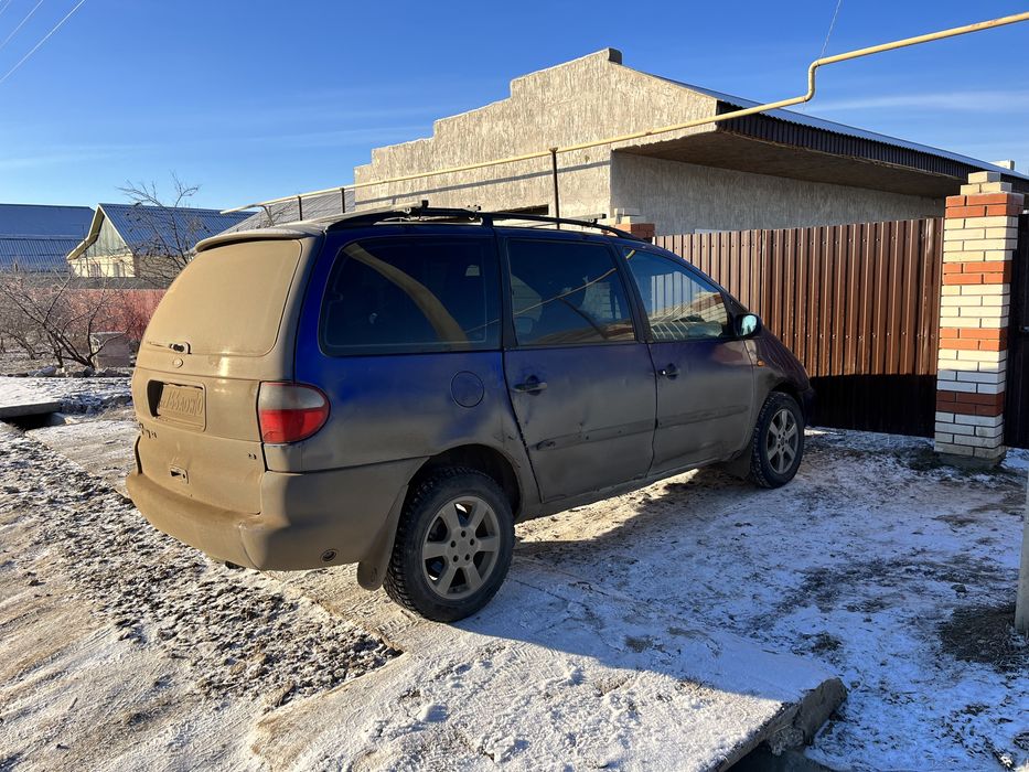 Шаран на обмен