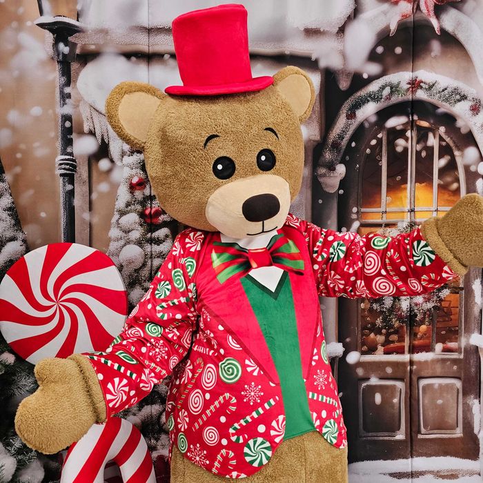 Costum Mascotă Urs de Crăciun Profesional, Mascotă Teddy Bear Crăciun, Cost Urs Evenimente, Mascotă Premium Handmade