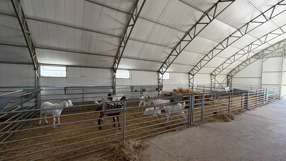 Продава се Парцел в с. Пробуда, Област Търговище - 38000 кв.м за 60 €/кв.м - Снимка #19