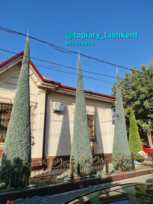 Archa kesish va dorilash