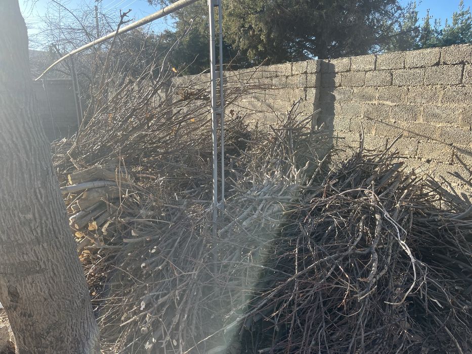 Utin shoxla sotiladi