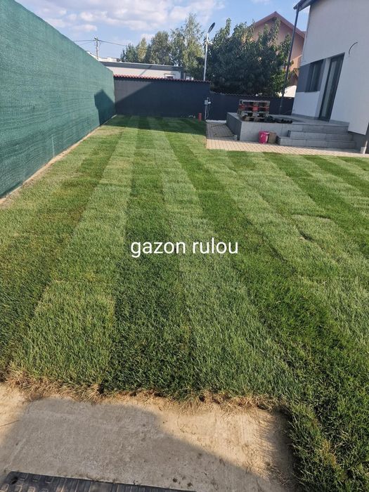 Gazon rulou amenajam gradini