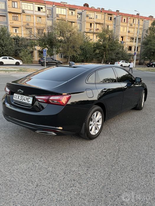 Malibu XL 2023 tozza