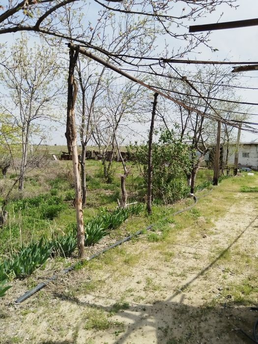 Продаётся дом с участком