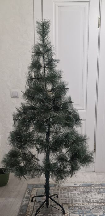 Елки домашний высота