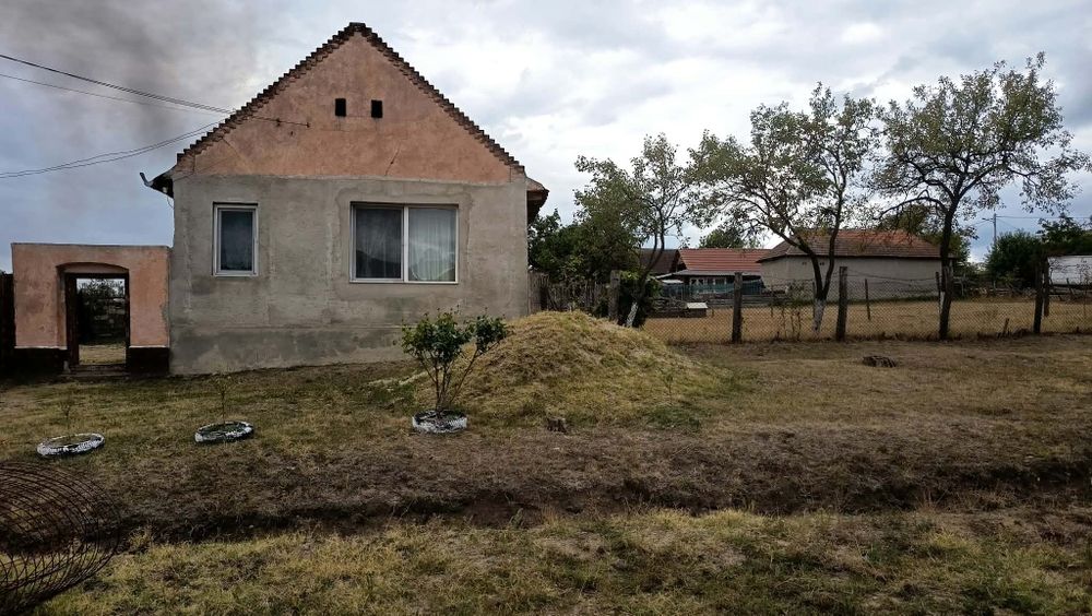 Casă de vânzare- Agrișu Mare