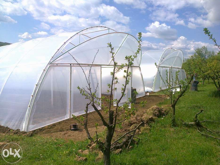 solarii pt legume fructe