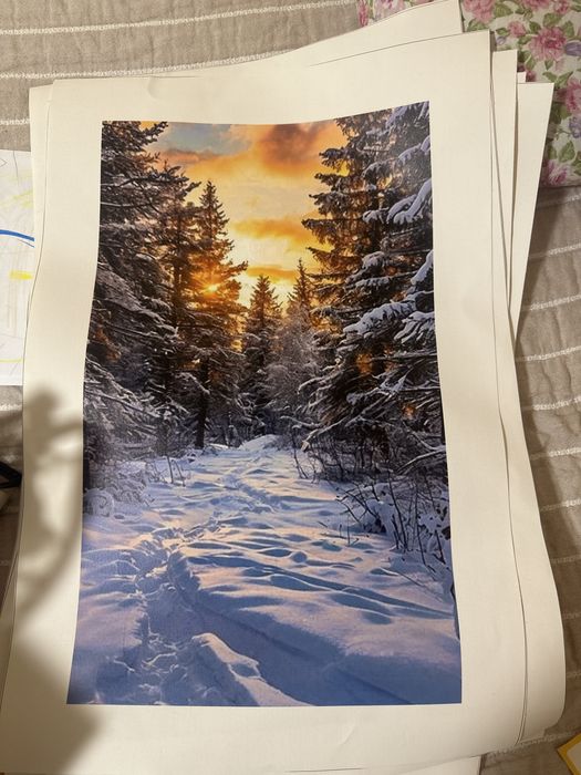 Картины на холсте