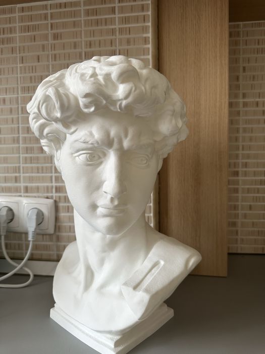 Bust statuie David de Michelangelo