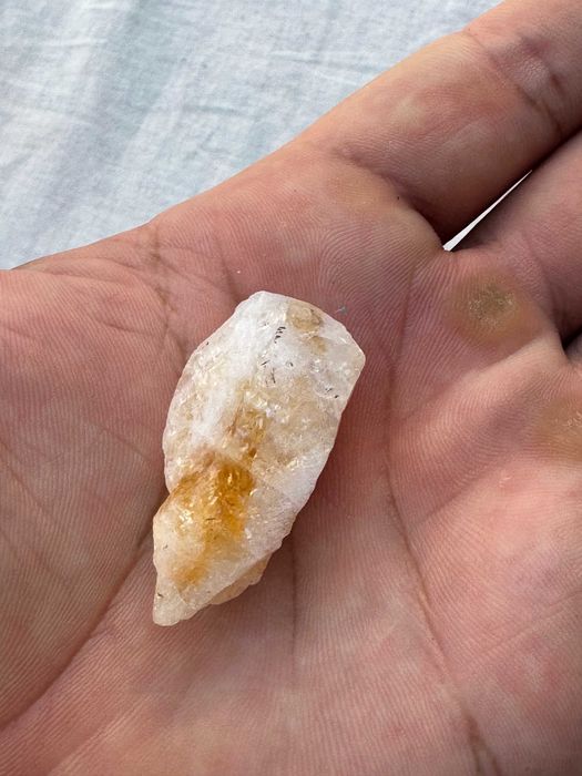 Коллекционерлар учун