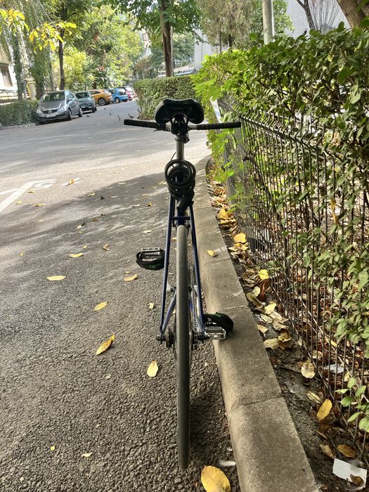 Bicicleta Fixed Gear (Fixie)