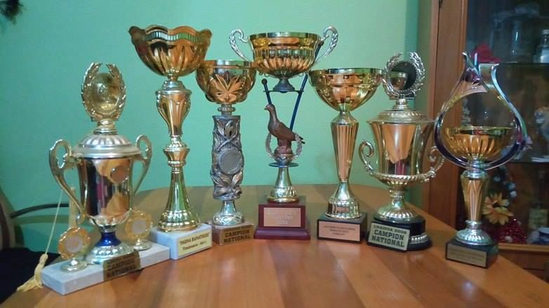 Porumbei Ornament (Maria Stuard)