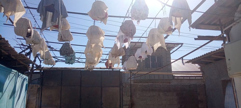 Сайридиган Бедана