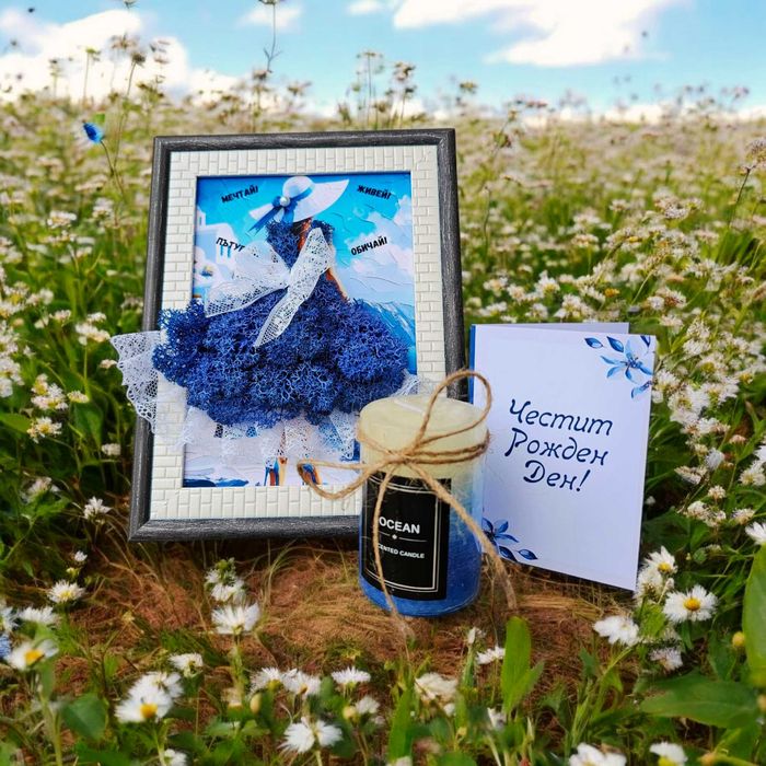 НОВО! Ръчна изработка, пана с естествен скандинавски мъх