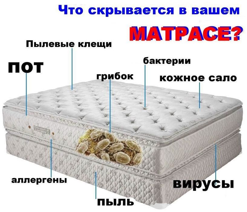 Выездная химчистка ковров и мягкой мебели на дому