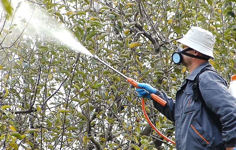 Садовник Богбон. Дезинфекция против тли оброботка ширага карши дорилаш