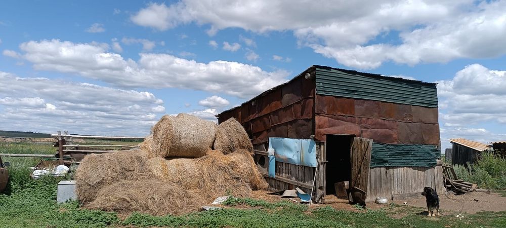 Продам дом в деревне