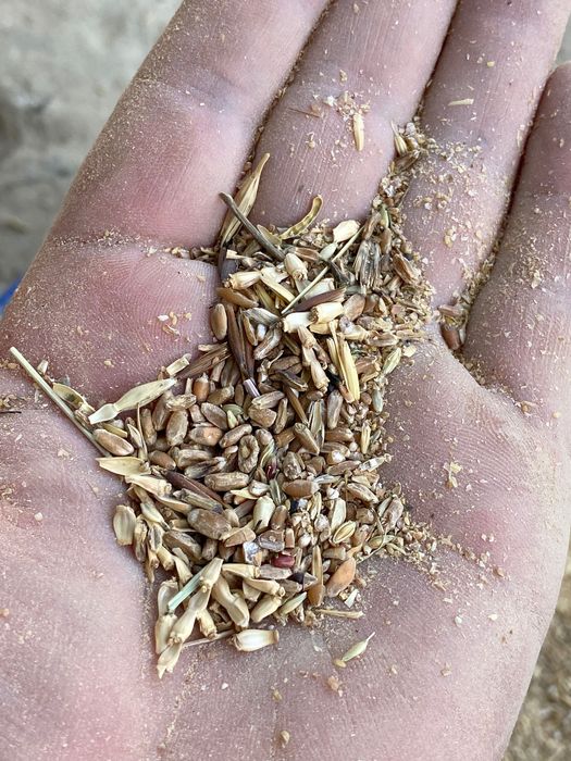 Зерно  отход  кепак ухшайди