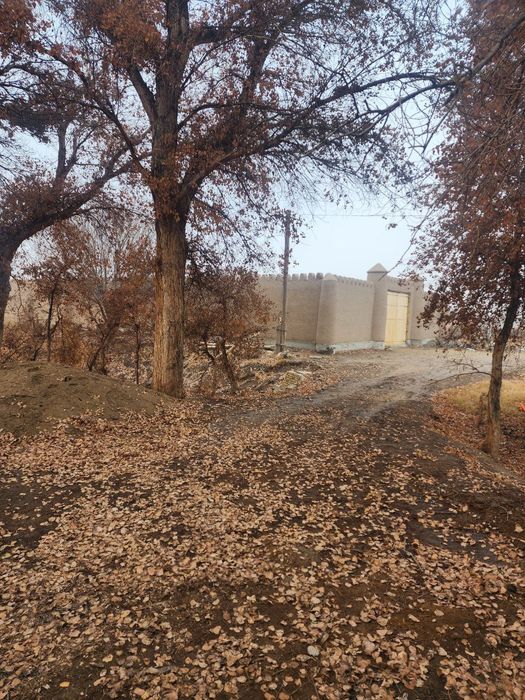 Xiva shaxrida tayyor bigness sotiladi