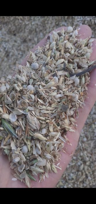 Отходы ОТХОДЫ Корма для крс мрс лошадей