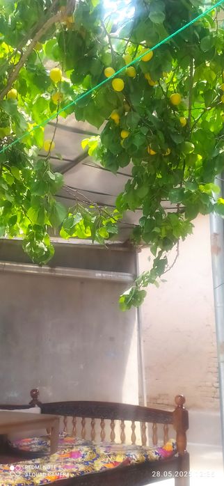 у́й сотиладм мирабод р-н рисивий 2.1 сот 3 ком кухня