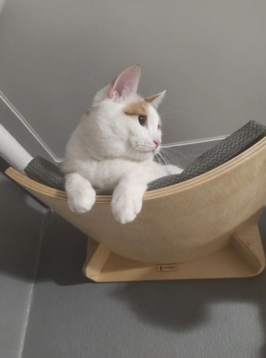 Лежак-домик для кошек