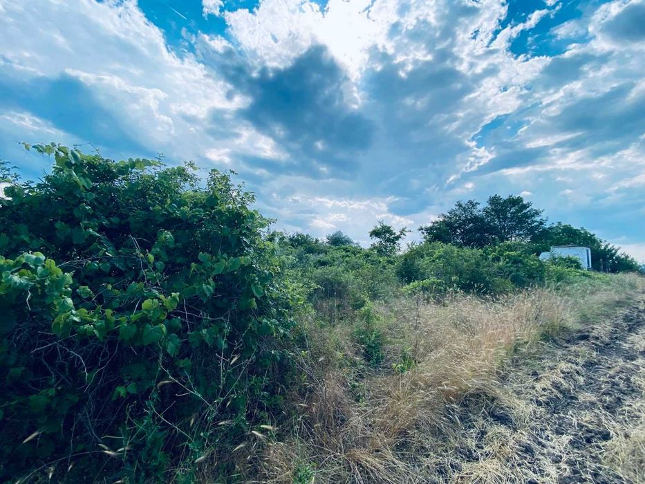 Продава се Земеделски имот в Варна, Възраждане 1 -  кв.м за 30 €/дка - Снимка #16