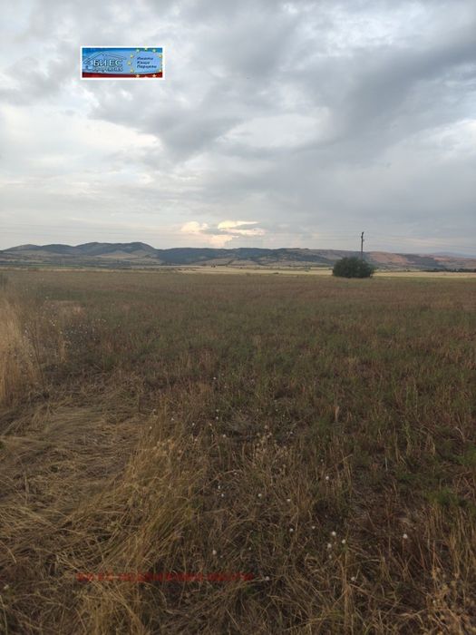 Продава се Парцел в с. Червена могила, Област Перник - 6300 кв.м за 7 €/кв.м - Снимка #7