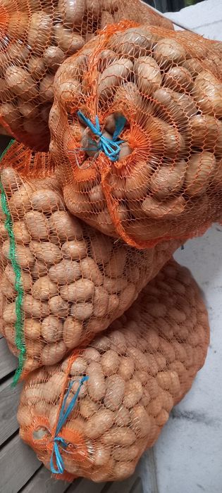 Cartofi samanta calitatea 1 ,roz și albi