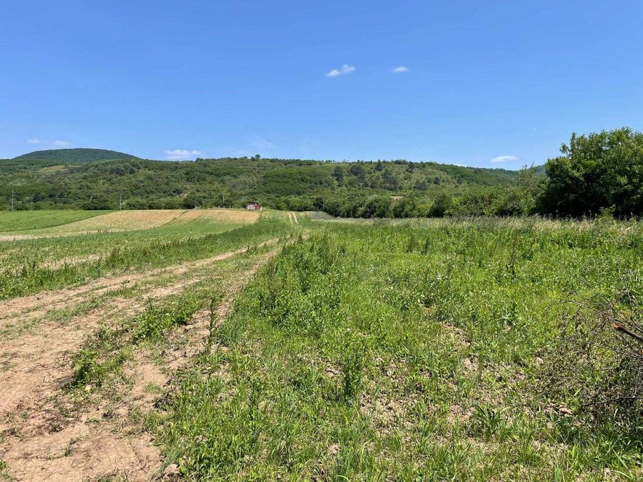 1.3 hectare teren intravilan Seini de vanzare, toate utilitățile, asfalt la ambele capete, construibil, acces triplu