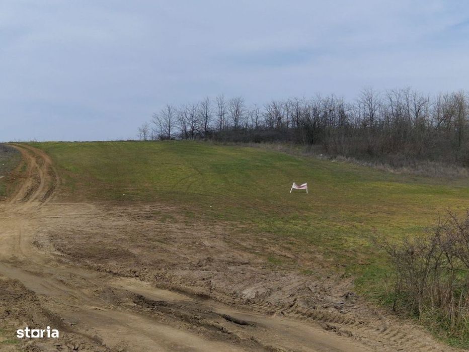 Teren intravilan de vanzare 6050 mp – Lesile