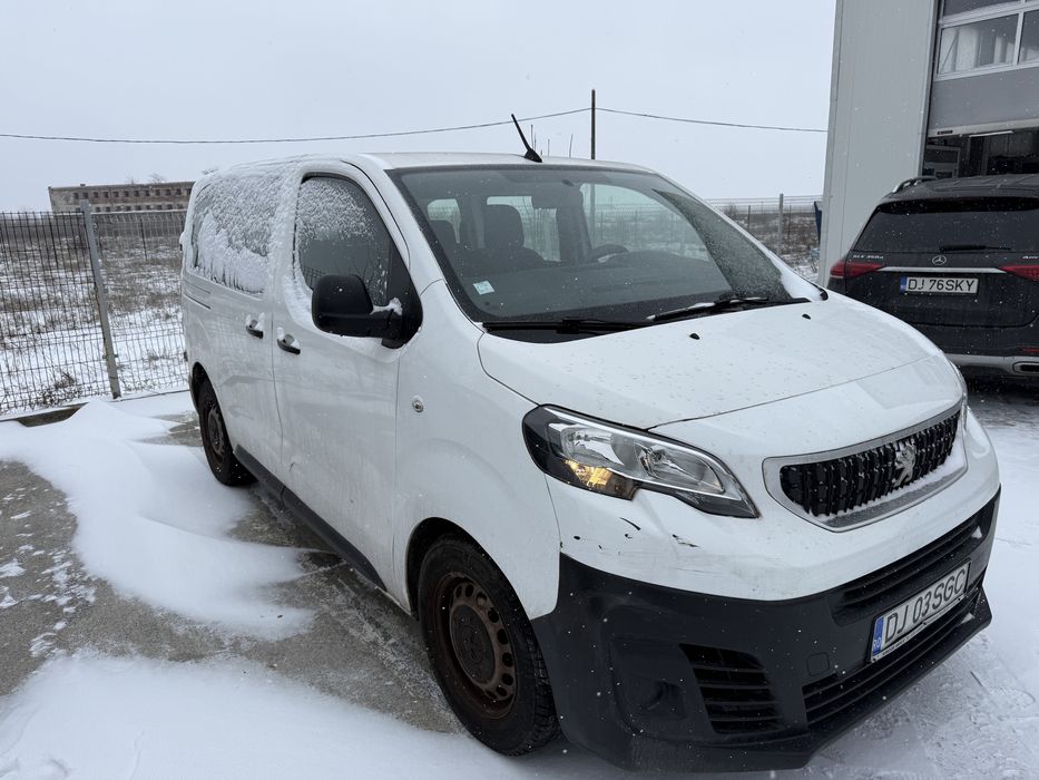 Vand Peugeot Traveler