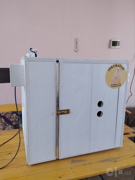 Икватор сатилади 330талик