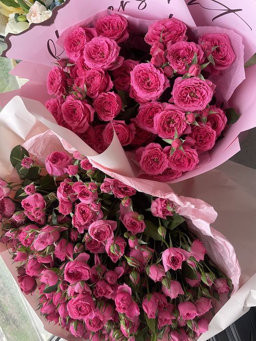 цветы сегодняшнего дня