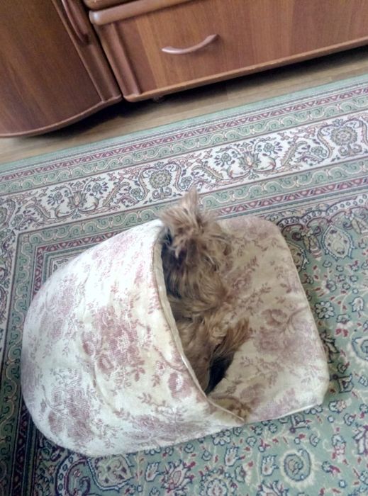 Лежанки эксклюзивные