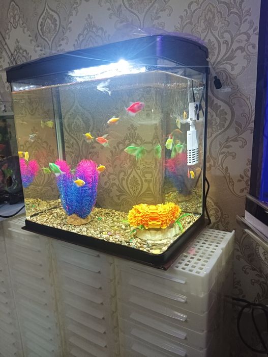 Xitoy 30 litrli akril akvarium komplekti