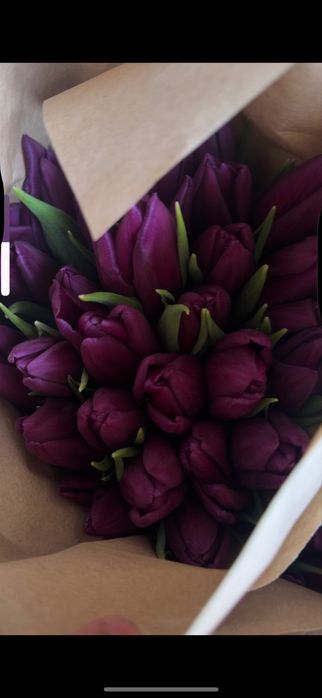 Тюльпаны к 8 марта оптом