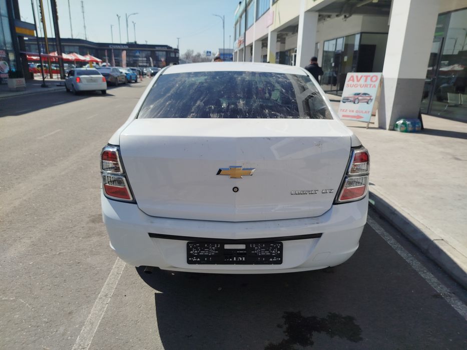 ‼️Cobalt msm midnight  ‼️2026