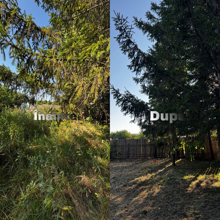 Cosim, Tăiem, Curățăm – Rapid și Eficient! Plus altele.