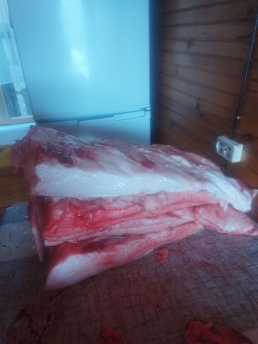 Продам свежее сало