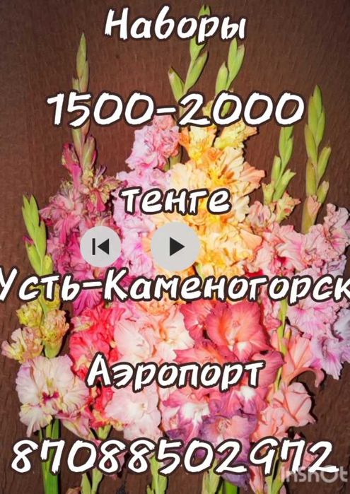 Продам детку гладиолусов