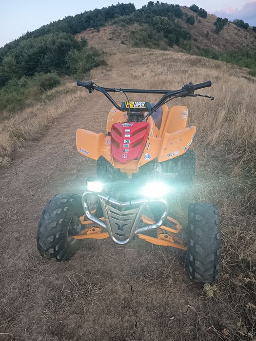 Bashan 250 cm  5+1