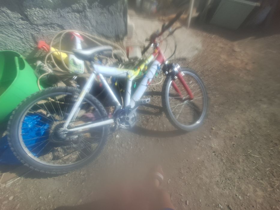 Bicicleta o am de 1 an