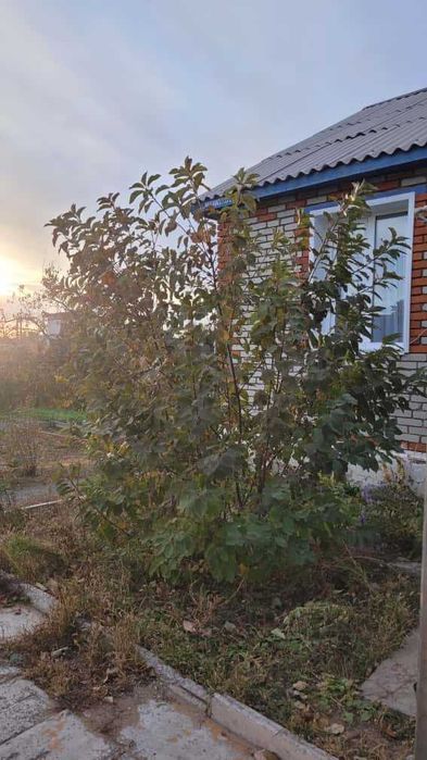 продам дом в поселке Перцевка